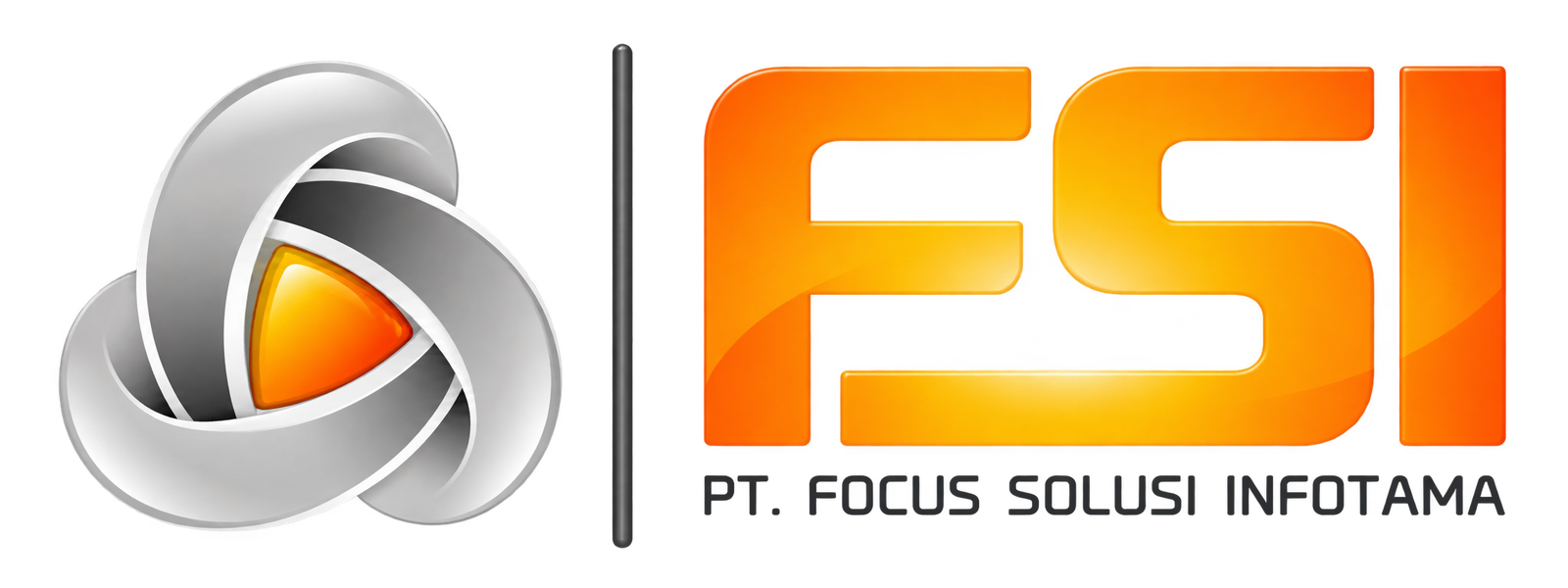 FSI logo